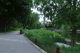 公园风景  