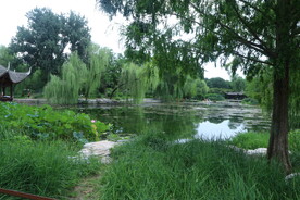公园风景 