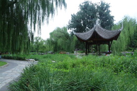 公园风景  