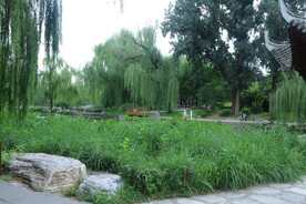 公园风景 