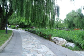 公园风景 