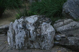 公园风景  