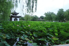 公园风景  