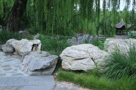 公园风景  