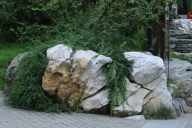 公园风景  