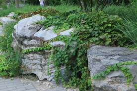 公园风景  