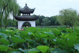 公园风景 