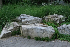 公园风景  