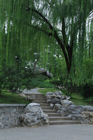 公园风景 