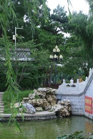 公园风景 
