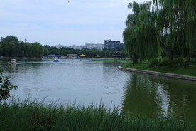 公园风景  