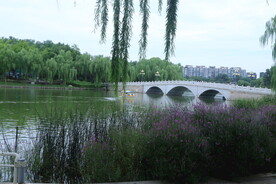 公园风景 