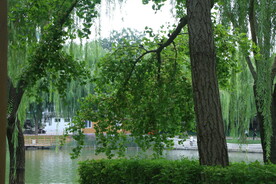 公园风景 