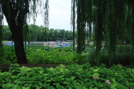 公园风景  