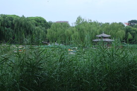 公园风景 