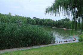 公园风景 