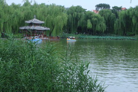 公园风景  