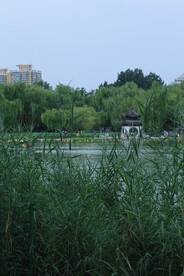 公园风景 