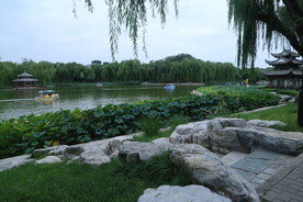 公园风景 