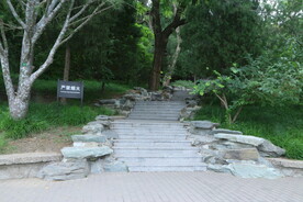 公园风景  