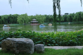 公园风景 