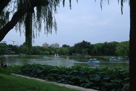 公园风景 