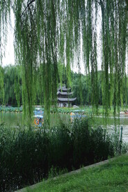 公园风景  
