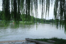 公园风景  