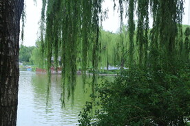 公园风景 