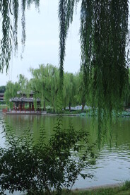 公园风景 