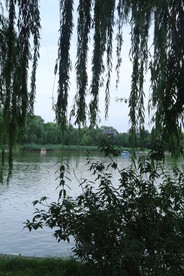 公园风景  