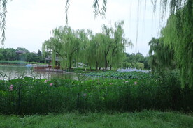 公园风景  