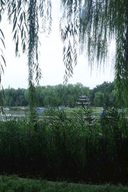 公园风景  
