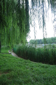 公园风景