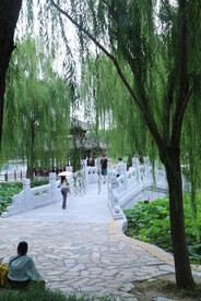 公园风景 