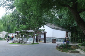 公园风景 