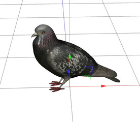 C4D模型 鸟