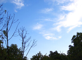 风中的天空