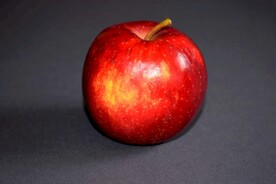苹果