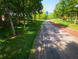 公园