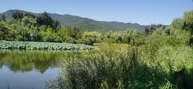 公园风景  