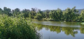 公园风景 