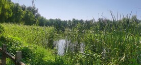 公园风景  