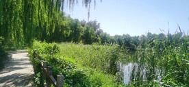 公园风景 