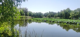 公园风景  