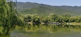 公园风景  