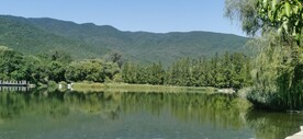 公园风景  