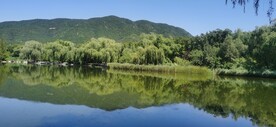 公园风景  
