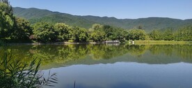 公园风景 