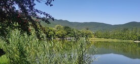 公园风景 